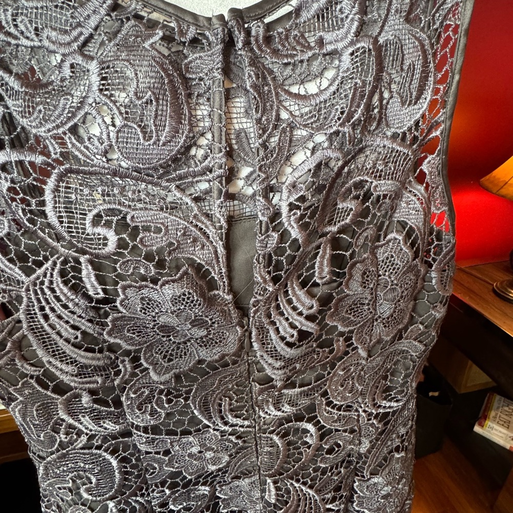 Adrianna Papell Elegant Gray Lace Dress - Picture 7 of 7